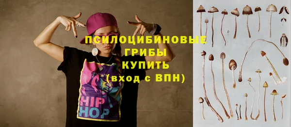ГАЛЛЮЦИНОГЕННЫЕ ГРИБЫ Баксан