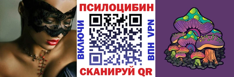 магазин продажи наркотиков  Тара  Псилоцибиновые грибы ЛСД 
